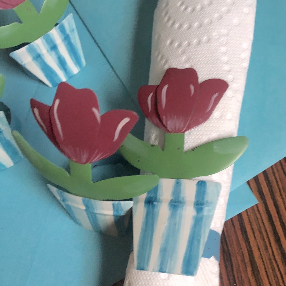 🎁F R E E* Hand painted napkin ring set NWOT